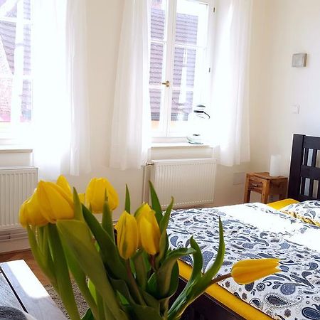Apartmány u náměstí Broumov Esterno foto